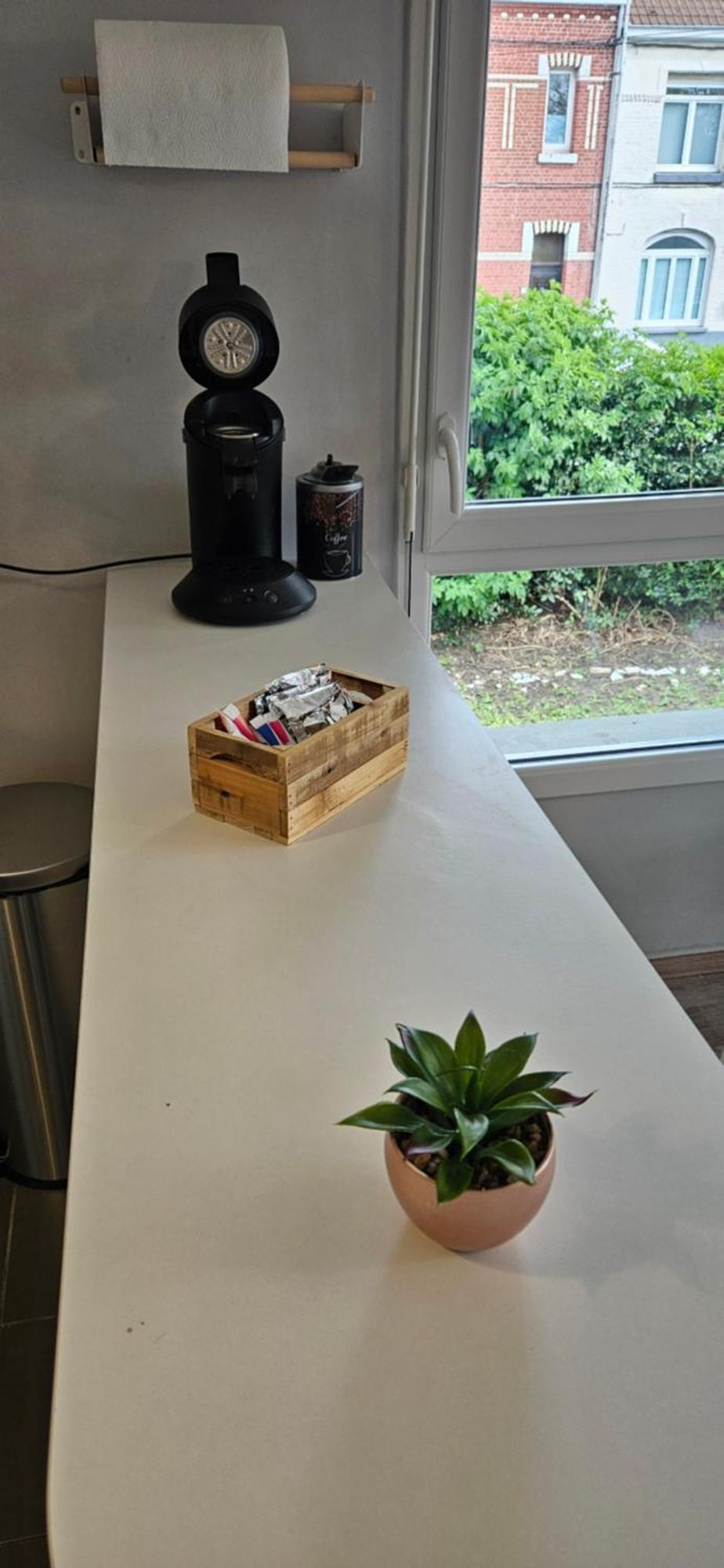 Appartement 2 Chambres Avec Terrasse Et Garage Saint-Andre-lez-Lille Eksteriør billede